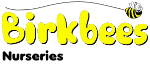Birkbees Blog