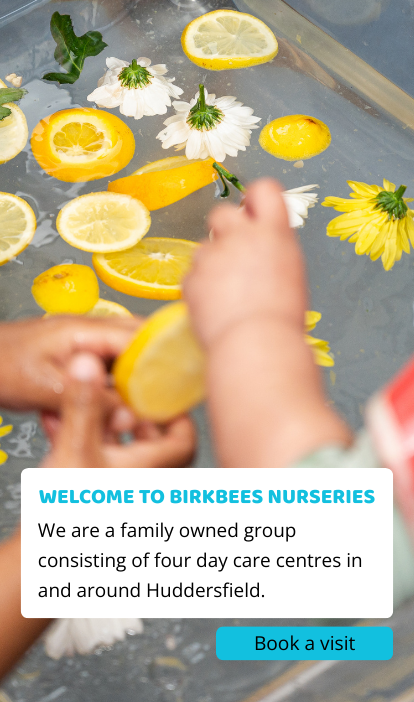 Banner for Birkbees Nurseries featuring children playing with floating lemons and flowers. The banner includes a white panel with the heading 'Welcome to Birkbees Nurseries' and a short description about their daycare services in Huddersfield. A blue call-to-action button reads 'Book a visit'.